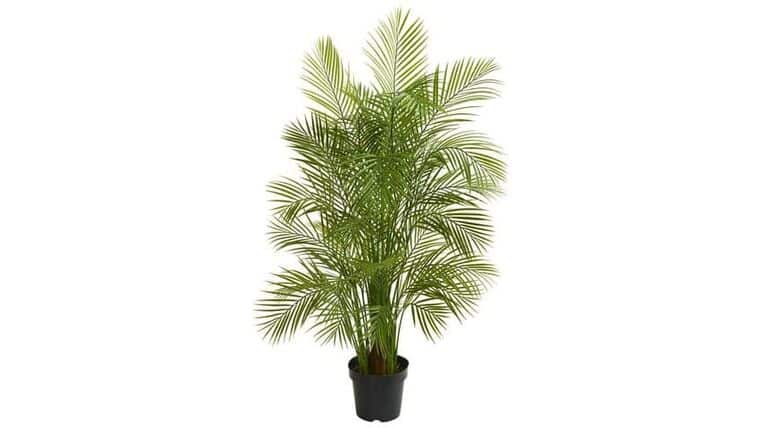 5.5’ Areca Palm Artificial Tree Lush Green | Rental 5.5’ Areca Palm Artificial Tree Lush Green | Rental