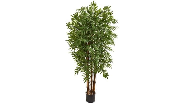 5.5’ Parlour Artificial Palm Tree | Rental 5.5’ Parlour Artificial Palm Tree | Rental