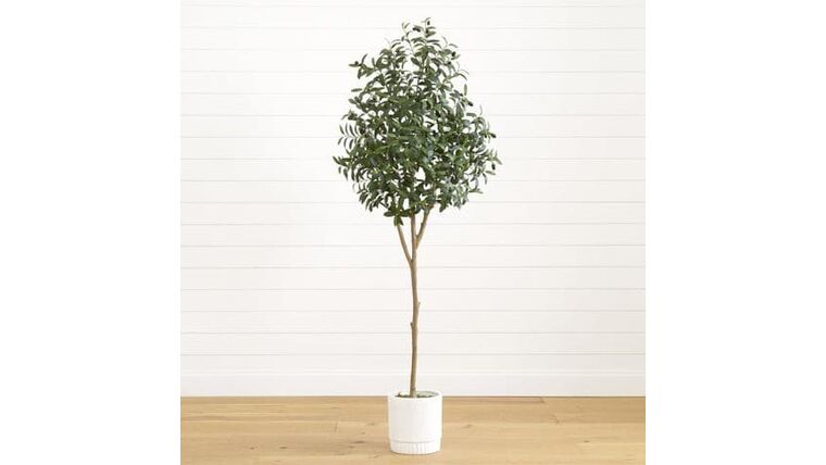 6’ Artificial Olive Tree with White Decorative Planter | Rental 6’ Artificial Olive Tree with White Decorative Planter | Rental