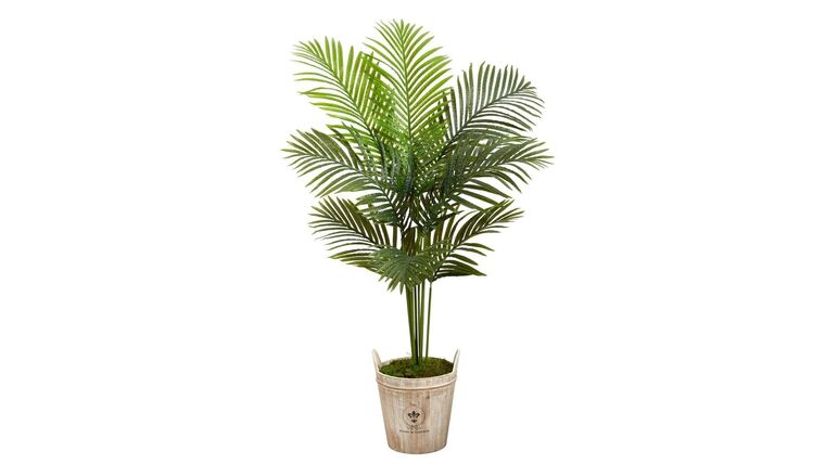 5’ Paradise Palm Artificial Tree in Farmhouse Planter | Rental