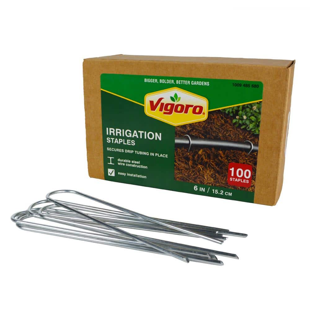 Vigoro — 6 in. X 1 in. Galvanized Drip Irrigation Stakes (100-pack) | Rental Vigoro — 6 in. X 1 in. Galvanized Drip Irrigation Stakes (100-pack) | Rental